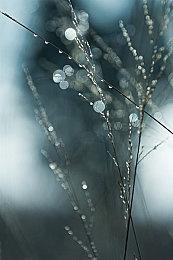 《狂野之心》主线流程约30个小时 支持跨平台联机